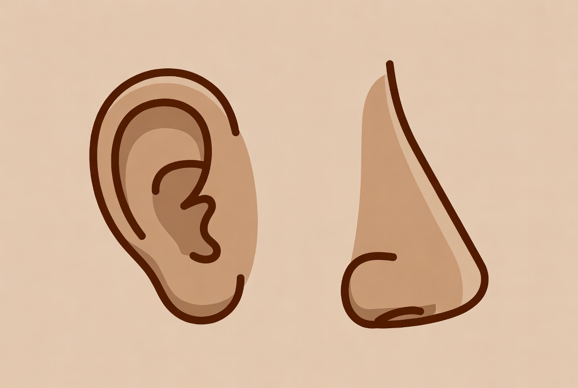 ENT Surgery illustration